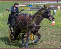 2POSIEUX 0176